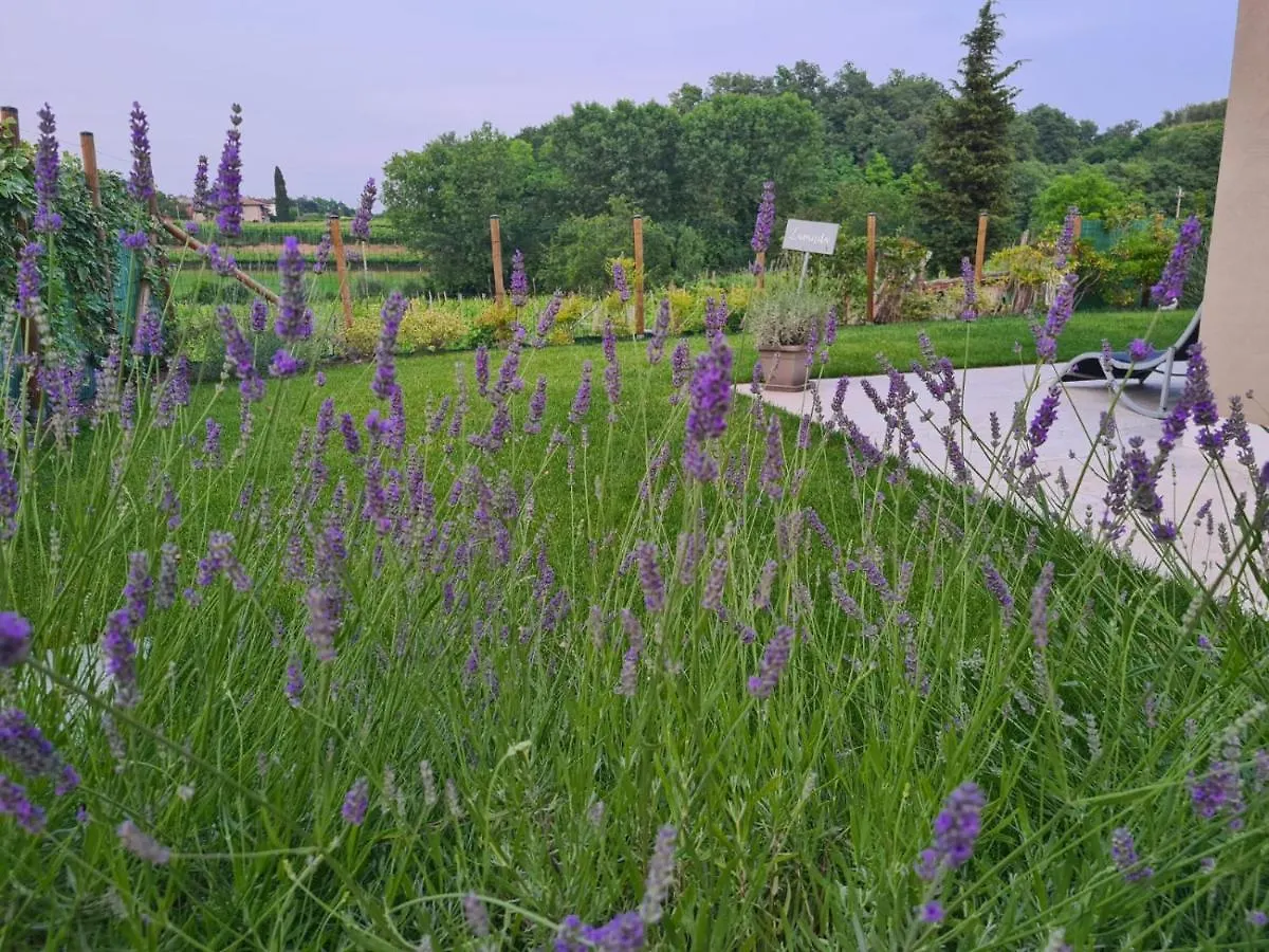 Residence Le Aromatiche Cavaion Veronese Daire